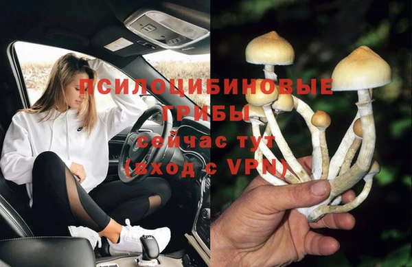 спайс Осинники
