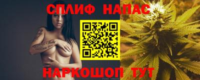 прущие грибы Абинск