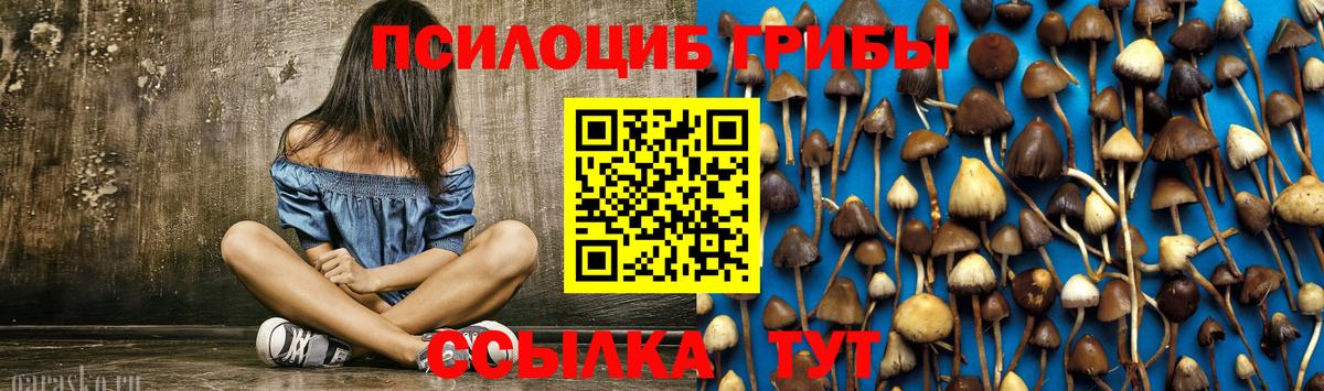 Псилоцибиновые грибы MAGIC MUSHROOMS  купить   Сердобск 